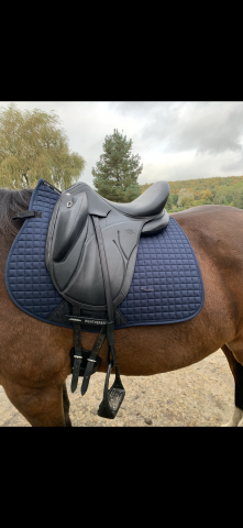 Sella da dressage Devoucoux  17" - 2024