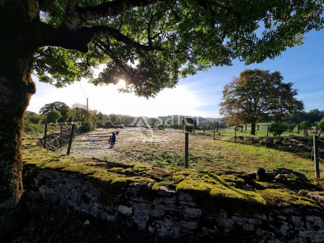 Azienda agricola In vendita Lot