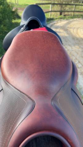 Sella da salto ostacoli CWD  17" - 2022