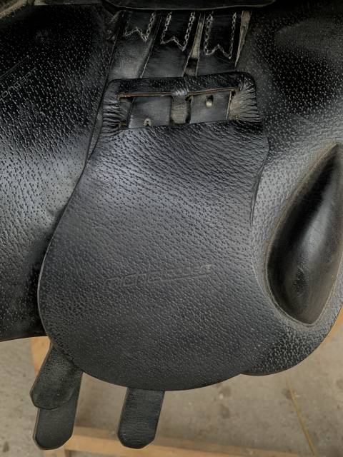 Sella da salto prestige Michel Robert