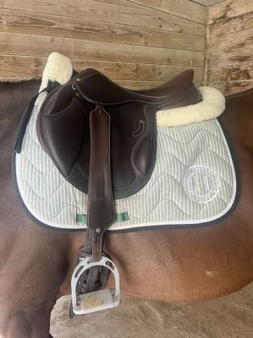 Sella da salto ostacoli Eric Thomas  17.5" - 2025