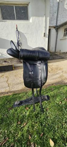 Sella da dressage Albion  17.5" - 2022