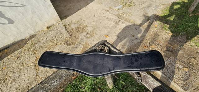 Sella da dressage Albion  17.5" - 2022