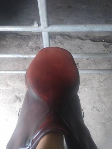 Sella mista Forestier Montignac  17" - 2006