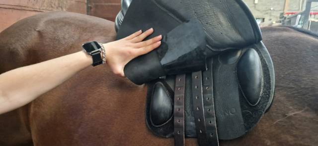 Sella da salto ostacoli  Venezia 17.5" - 2021