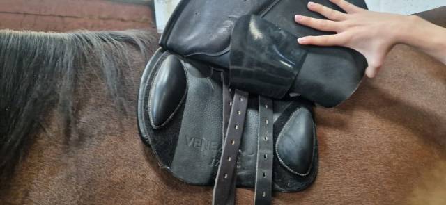 Sella da salto ostacoli  Venezia 17.5" - 2021