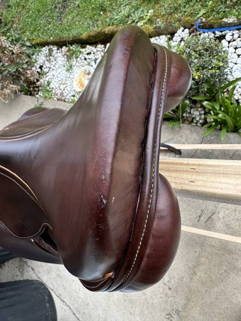 Sella mista Baude  17.5" - 2022