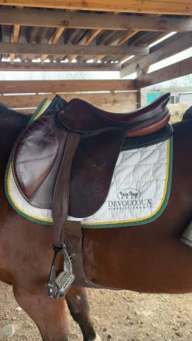 Sella mista  Bruno delgrange  18" - 2006