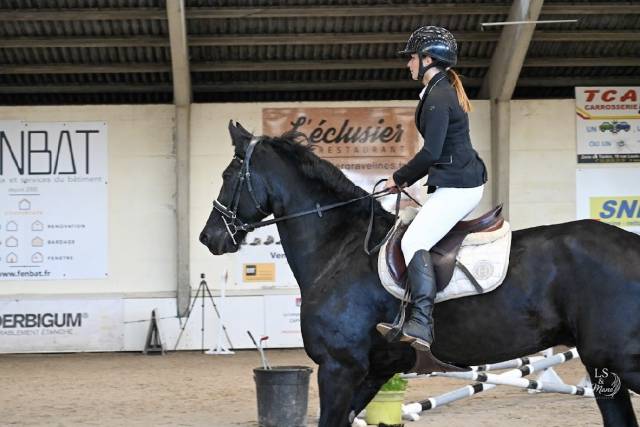 Sella mista Delgrange Bruno delgrange  18" - 2006