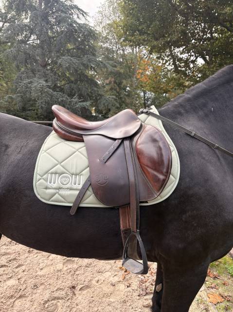 Sella mista Delgrange Bruno delgrange  18" - 2006