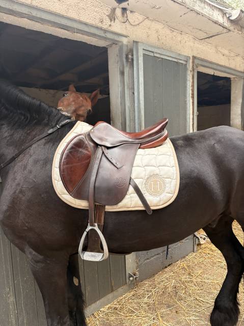 Sella mista Delgrange Bruno delgrange  18" - 2006