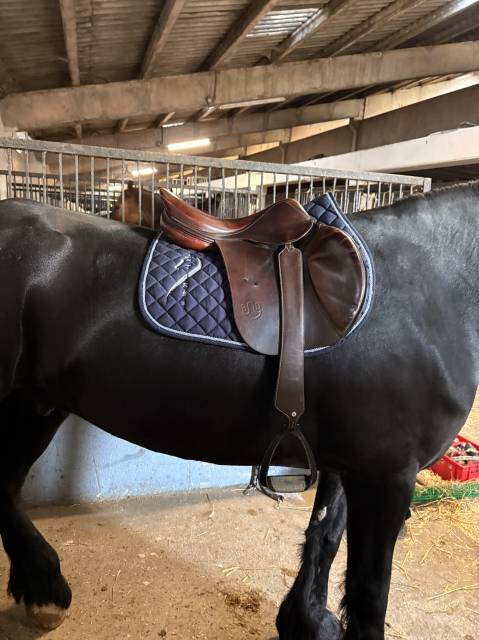 Sella mista Delgrange Bruno delgrange  18" - 2006