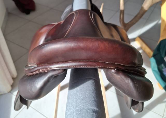 Sella da salto ostacoli Forestier  16.5" - 2023