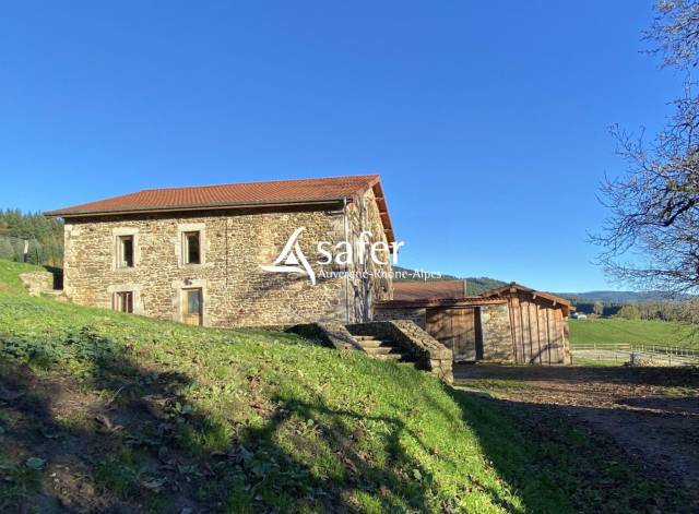 Azienda suina In vendita Puy-de-D&ocirc;me