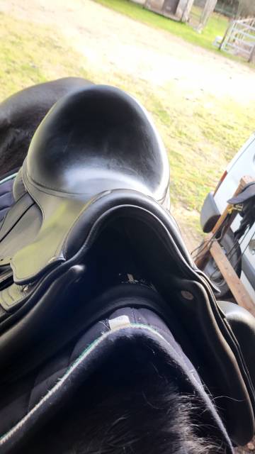 Sella da dressage CWD SE08 17.5" - 2017