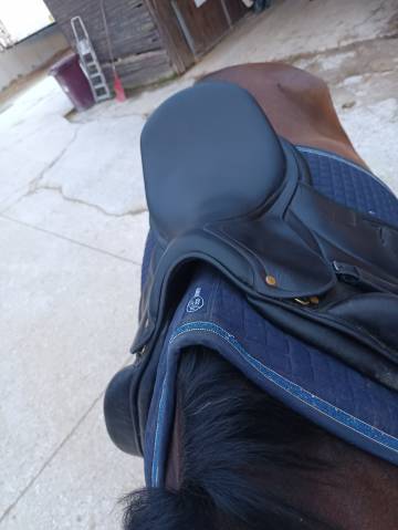 Sella da dressage Darroze  18" - 2019