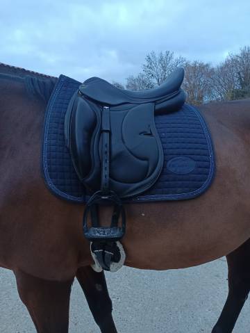 Sella da dressage Darroze  18" - 2019