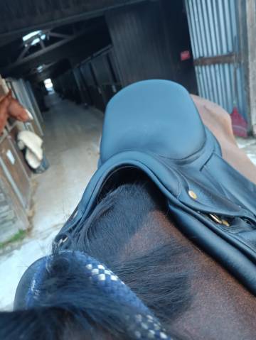 Sella da dressage Darroze  18" - 2019