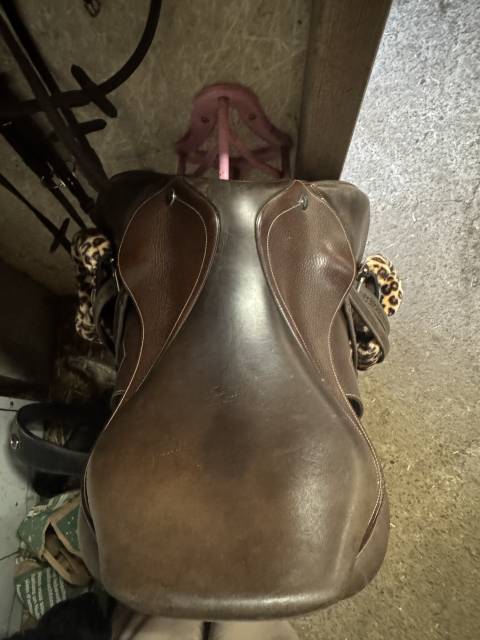 Sella mista Ikonic  17" - 2020