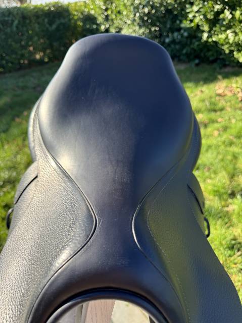 Sella da salto ostacoli CWD  17" - 2024