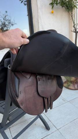 Sella mista Renaissance F2S 18" - 2022