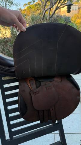 Sella mista Renaissance F2S 18" - 2022