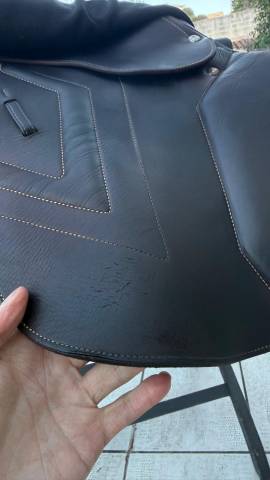 Sella mista Renaissance F2S 18" - 2022