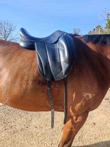 Sella da dressage Forestier  17.5" - 2021
