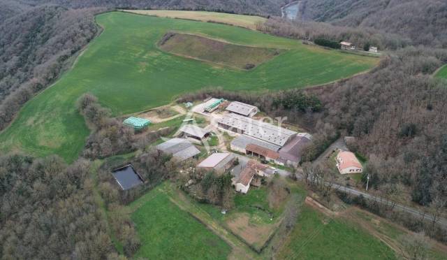 Azienda ovina In vendita tarn