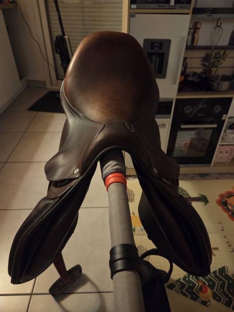 Sella da salto ostacoli Antar&egrave;s  17.5" - 2021