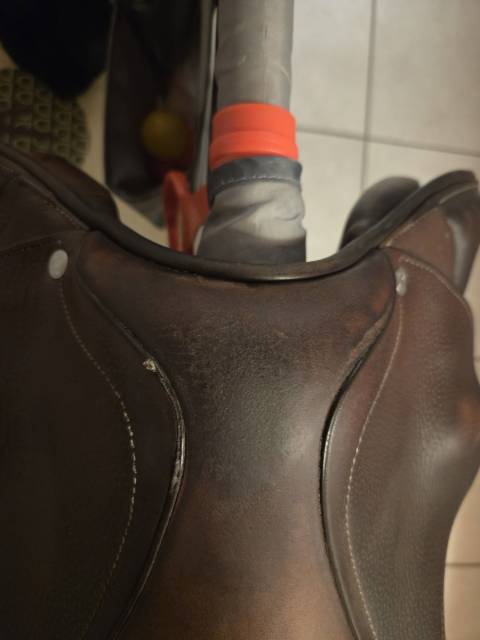 Sella da salto ostacoli Antar&egrave;s  17.5" - 2021