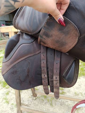 Sella mista Ikonic  17" - 2022