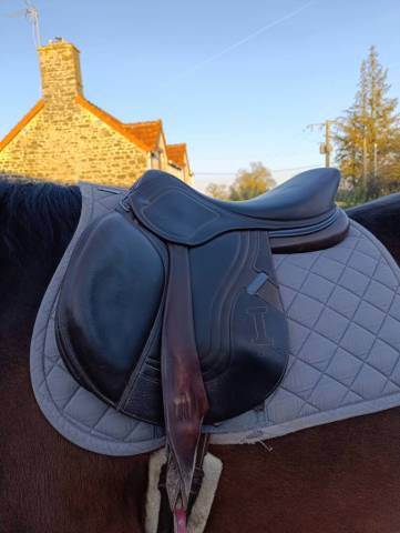 Sella mista Ikonic  17" - 2022