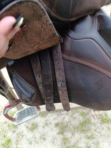 Sella mista Ikonic  17" - 2022