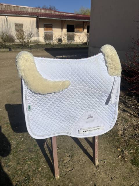  Premier Equine Occasione