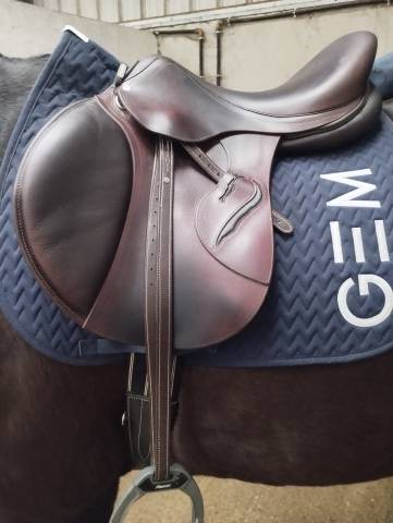 Sella da salto ostacoli Antar&egrave;s  17.5" - 2022