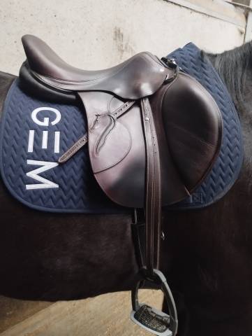 Sella da salto ostacoli Antar&egrave;s  17.5" - 2022