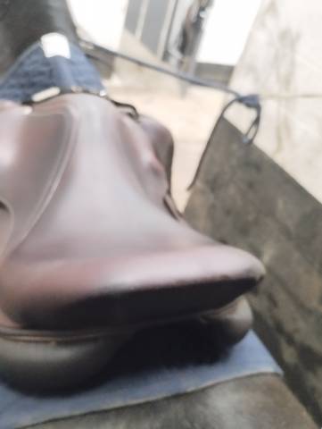 Sella da salto ostacoli Antar&egrave;s  17.5" - 2022