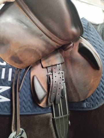 Sella da salto ostacoli Antar&egrave;s  17.5" - 2022