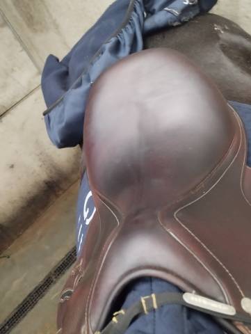 Sella da salto ostacoli Antar&egrave;s  17.5" - 2022