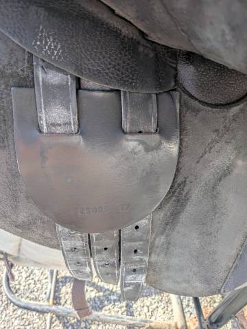 Sella mista   17" - 2010