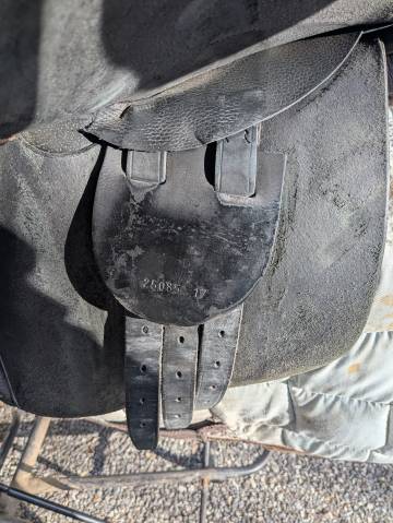 Sella mista   17" - 2010