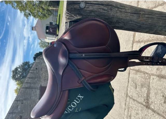 Sella mista Devoucoux  17.5" - 2023