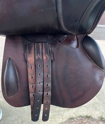 Altra sella Prestige Italia Triomphe  17" - 2014