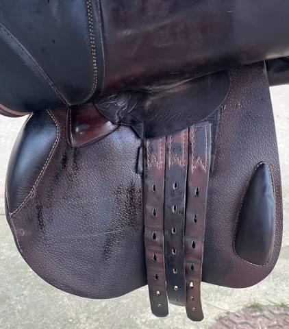 Altra sella Prestige Italia Triomphe  17" - 2014