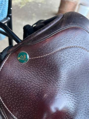 Altra sella Prestige Italia Triomphe  17" - 2014