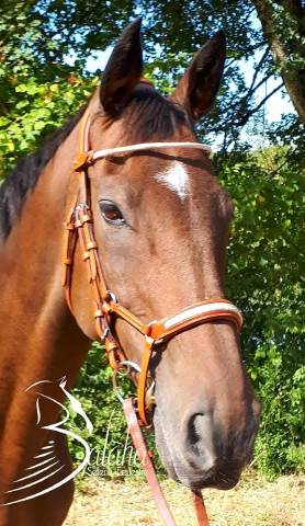  - Altra Marca - Nuovo