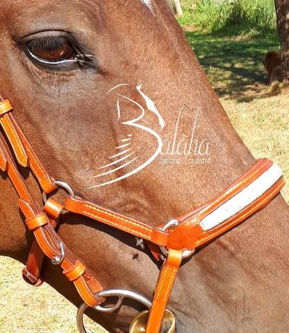  - Altra Marca - Nuovo