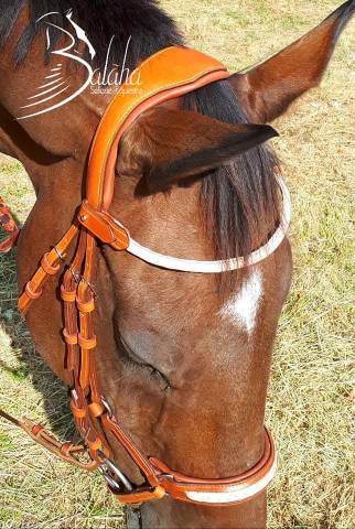  - Altra Marca - Nuovo