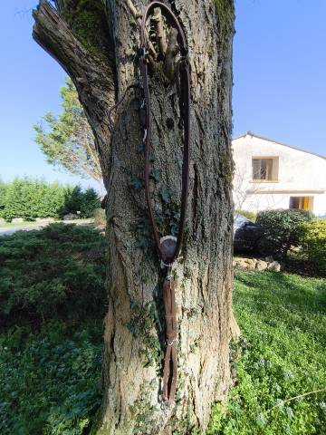  - Altra Marca - Nuovo